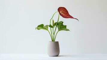 photo de jack-in-the-pulpi fleur dans pot isolé sur blanc Contexte. génératif ai