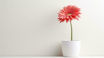 photo de gerbera fleur dans pot isolé sur blanc Contexte. génératif ai