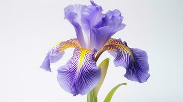 photo de magnifique iris fleur isolé sur blanc Contexte. génératif ai