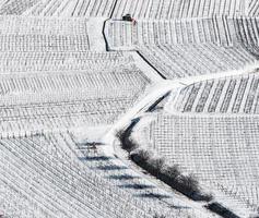 vue panoramique par drone sur les vignobles enneigés de la vallée du rhin photo