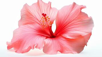 photo de magnifique hibiscus fleur isolé sur blanc Contexte. génératif ai