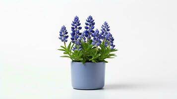 photo de bluebonnet fleur dans pot isolé sur blanc Contexte. génératif ai