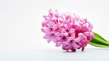 photo de magnifique jacinthe fleur isolé sur blanc Contexte. génératif ai