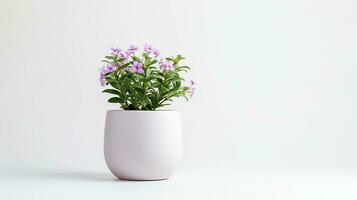 photo de Stock fleur dans pot isolé sur blanc Contexte. génératif ai