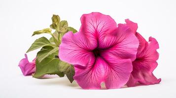 photo de magnifique pétunia fleur isolé sur blanc Contexte. génératif ai