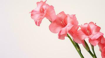 photo de magnifique glaïeul fleur isolé sur blanc Contexte. génératif ai