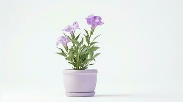 photo de lisianthus fleur dans pot isolé sur blanc Contexte. génératif ai