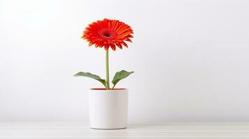 photo de gerbera fleur dans pot isolé sur blanc Contexte. génératif ai