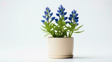 photo de bluebonnet fleur dans pot isolé sur blanc Contexte. génératif ai