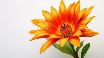 photo de magnifique gazania fleur isolé sur blanc Contexte. génératif ai