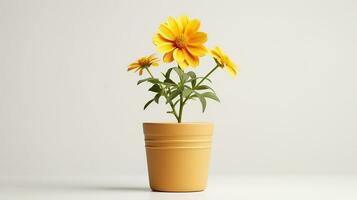 photo de coréopsis fleur dans pot isolé sur blanc Contexte. génératif ai