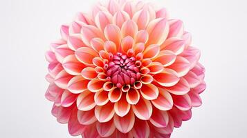 photo de magnifique dahlia fleur isolé sur blanc Contexte. génératif ai