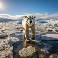 climat changement. une polaire ours des stands sur une fusion glacier photo