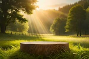 un vide rustique en bois produit afficher podium dans le milieu de un Extérieur paysage premade photo maquette Contexte