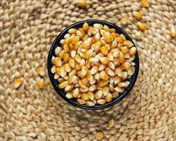 graines de maïs sèches photo