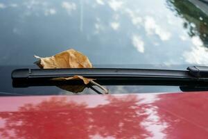 l'automne feuilles sur le pare-brise de une auto. l'automne Contexte. photo