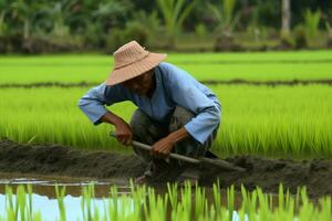 indonésien homme travail comme agriculteur photo