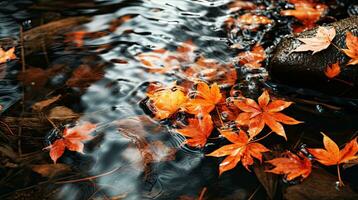 vibrant Orange érable feuilles dans eau de pluie génératif ai photo