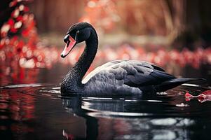 élégance de la nature noir cygne, calme l'eau génératif ai photo