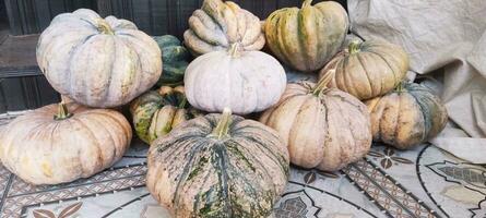 photo de une réel citrouille juste pris de le jardin