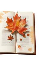 livre et l'automne feuilles sur blanc Contexte photo