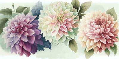 exquis aquarelle dahlias pour mariage papeterie photo