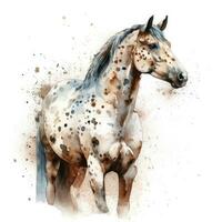 gracieux appaloosa cheval dans aquarelle sur blanc Contexte photo