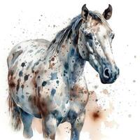 gracieux appaloosa cheval dans aquarelle sur blanc Contexte photo