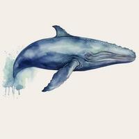 gracieux bleu baleine nager dans aquarelle photo