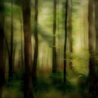 serein forêt paysage avec doux couleurs photo
