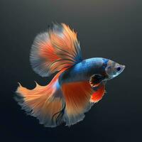 vibrant bleu guppy poisson avec ardent palmes dans 4k réaliste détail photo