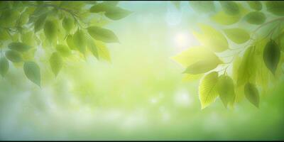 apaisant vert Contexte avec feuilles et doux bokeh lumière photo