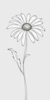 Facile Marguerite fleur griffonnage sur blanc Contexte photo