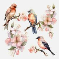 coloré des oiseaux et papillons sur une aquarelle branche avec fleurs photo