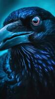 spectaculaire aux yeux bleus corbeau fermer avec brillant plumes génératif ai photo