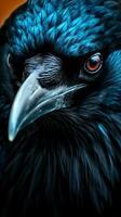 spectaculaire aux yeux bleus corbeau dans extrême fermer génératif ai photo