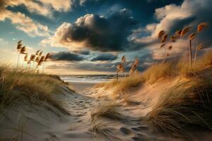 d'or heure plage avec le sable dunes et lumière des nuages ai généré photo