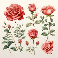 magnifique aquarelle des roses clipart avec audacieux couleurs ai généré photo