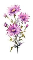 moderne style aquarelle aster bouquet sur riches violet et blanc Contexte génératif ai photo