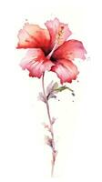 audacieux hibiscus Floraison sur blanc Contexte dans moderne aquarelle style génératif ai photo