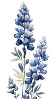 Profond bleu lupin grappe dans contemporain aquarelle style sur blanc Contexte parfait pour sur le thème de la nature dessins génératif ai photo