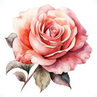 élégant mariage style Rose fleur sur blanc Contexte ai généré photo