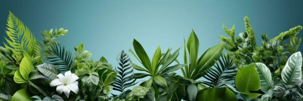 Naturel atmosphère avec décoratif les plantes et feuilles sur une produit la photographie Contexte ai généré photo