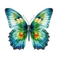 coloré peinte à la main papillon pour Fée jardin ai généré photo