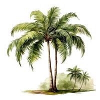 tropical aquarelle paume arbre clipart sur blanc Contexte ai généré photo