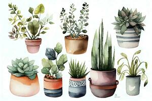 confortable aquarelle illustration de mis en pot les plantes et objets ai généré photo