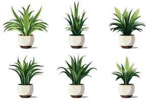 minimaliste ensemble de vide plante d'appartement des pots ai généré photo
