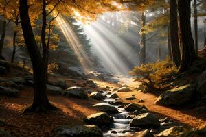 photo de le l'automne Montagne forêt, forêt rivière, moussu des pierres, Soleil des rayons fond d'écran