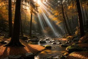 photo de le l'automne Montagne forêt, forêt rivière, moussu des pierres, Soleil des rayons fond d'écran