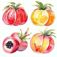 aquarelle des fruits clipart photo